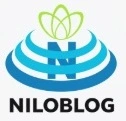 توسعه دهنده وب و نرم افزار